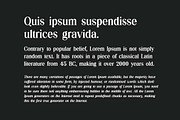 Silvex Editorial Serif Family Font, a Serif Font by UICreative (Thumbnail 2 of 13)