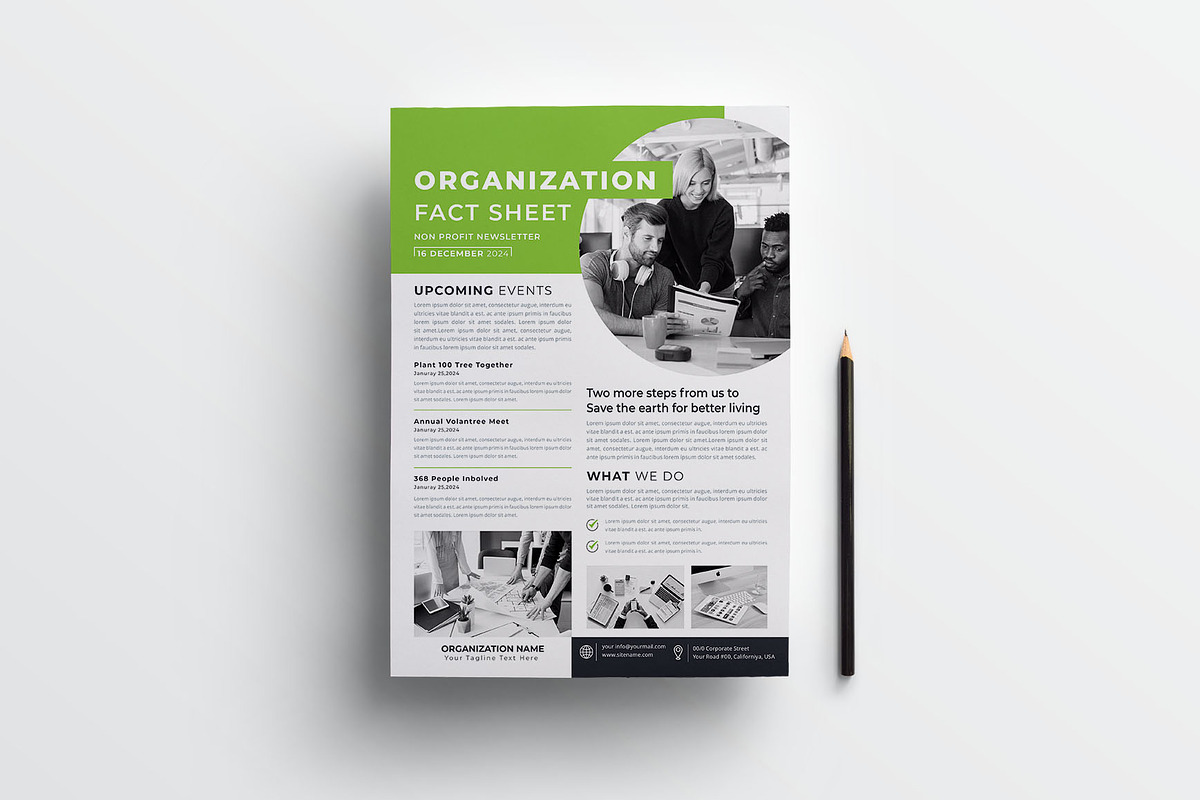Nonprofit Organization Fact Sheet, a Flyer Template by obayes (Photo 2 of 4)