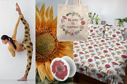 Retro field flowers & sunflowers, a Decorative Illustration by marie dricot (Thumbnail 10 of 10)
