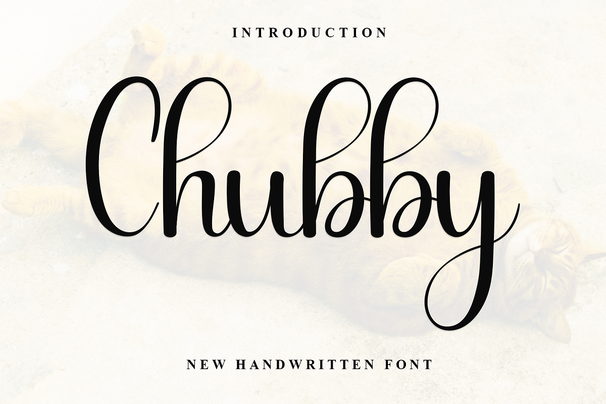 Chubby, a Handwritten Font by FreshTypeINK (Photo 1 of 8)