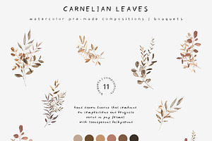 Carnelian Leaves Watercolor Fonts