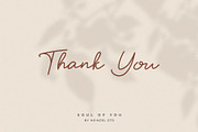 Soul Of You Modern Script Font, a Handwritten Font by Heinzel Std (Thumbnail 11 of 12)