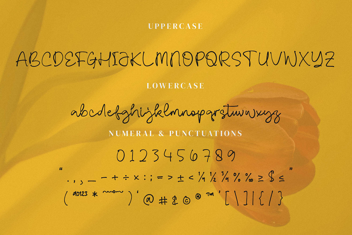 Resmaulli, a Handwritten Font by Integritype Studio (Photo 9 of 15)