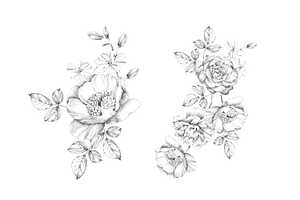 Hand Sketch Floral Art