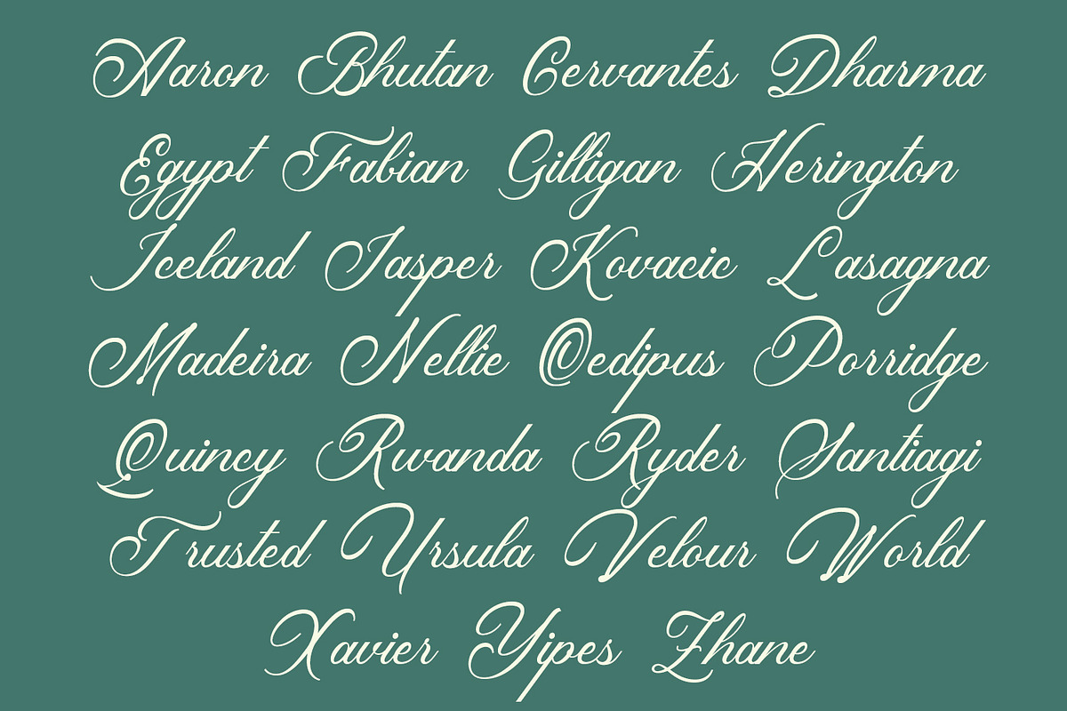Histogram Script Font, a Script Font by Arendxstudio (Photo 8 of 8)