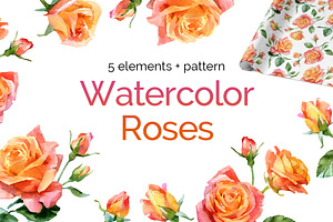Watercolor roses