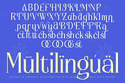 Alugfte Modern Display Serif, a Serif Font by timelesstype.co (Thumbnail 18 of 20)