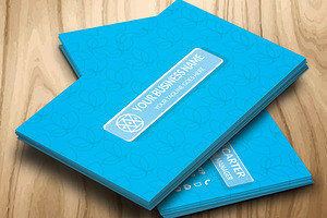 CT010 Creative Business Card