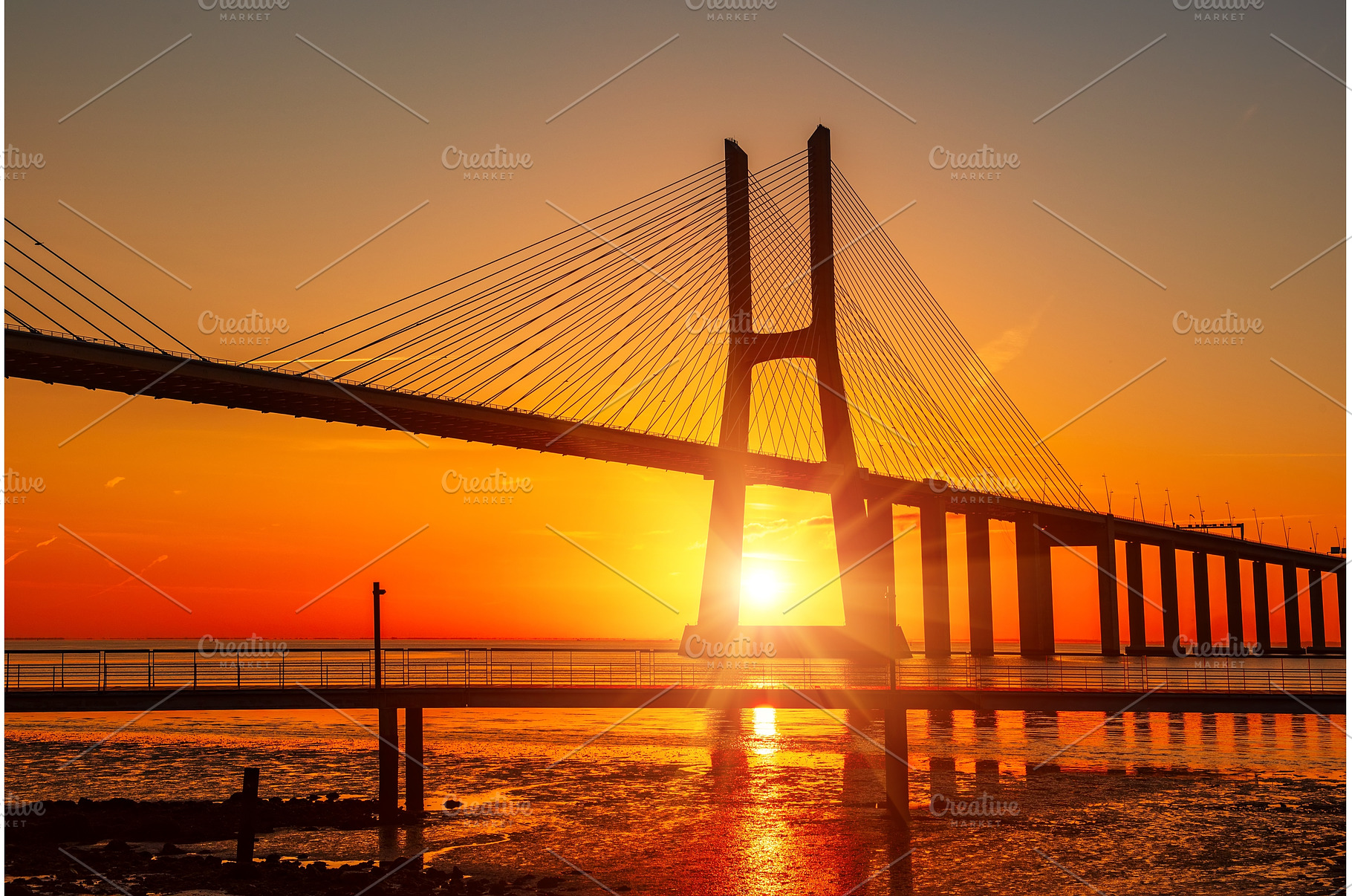 Vasco da Gamma road bridge in, an Architecture Photo by Nature and travel