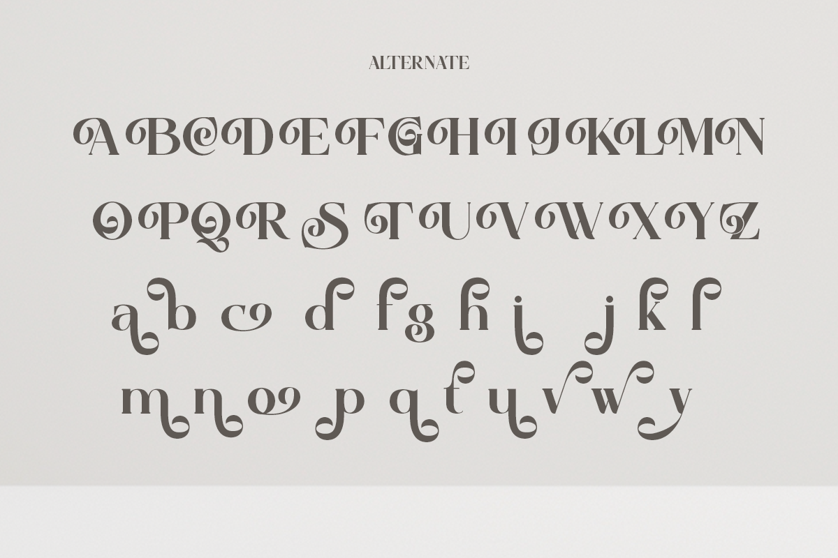 Slamyon - Elegant Swash Display, a Serif Font by Qweera Studio (Photo 11 of 12)