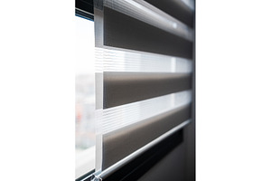 Urban apartment window with zebra