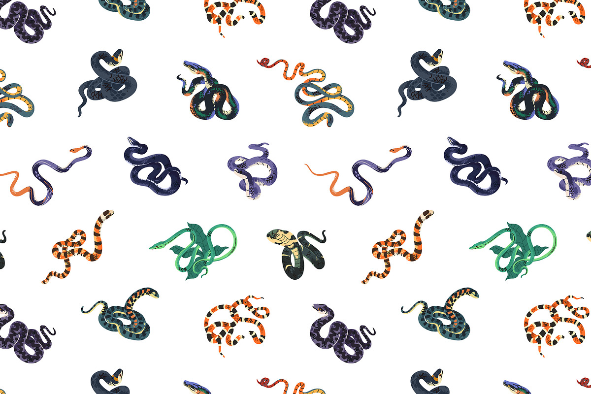 Exotic snakes set, seamless patterns, an Animal Illustration by PaperTrident (Photo 4 of 7)