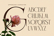 Charnoir - Modern Elegant Luxury, a Serif Font by Qweera Studio (Thumbnail 9 of 12)