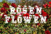 Blockton Valentine, a Serif Font by Dm Studio (Thumbnail 7 of 10)