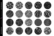 Animal Print brushes for Procreate 2, a Brush Add-On by Patternish (Thumbnail 4 of 6)