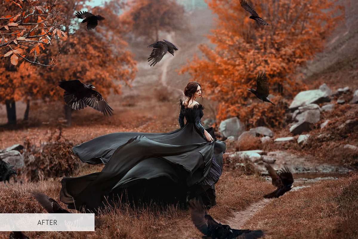 Bird Overlays Photoshop, a Plug-in Add-On by FixThePhoto (Photo 7 of 32)