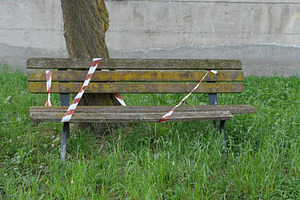 derelict wooden bench, a Photo by WorldOfPhotos