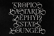 The Modern Font Bundle Vol.5 80% OFF, a Sans Serif Font by Tropical Type (Thumbnail 33 of 43)