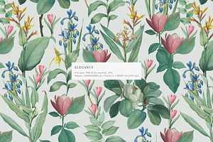 Elegancy Floral Pattern And Elements