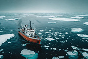 160 Arctic and Antarctic images, a Nature Photo by Handmadefont (Thumbnail 11 of 13)