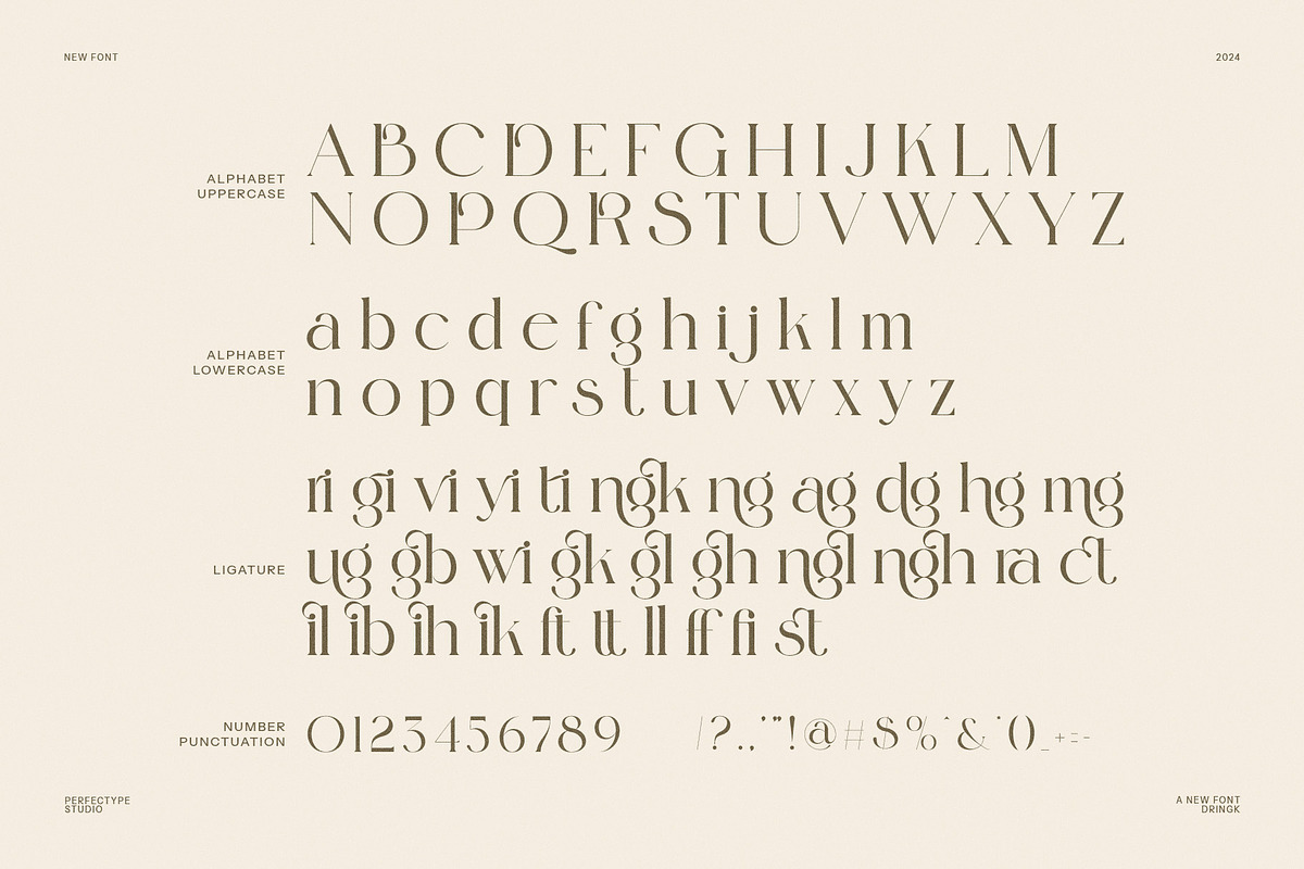 Dringk Stylish Serif Font, a Serif Font by Perfectype (Photo 8 of 8)