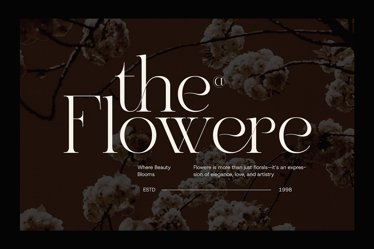 Bigrona Elegant Serif Font, a Serif Font by Graphicxell (Photo 3 of 8)