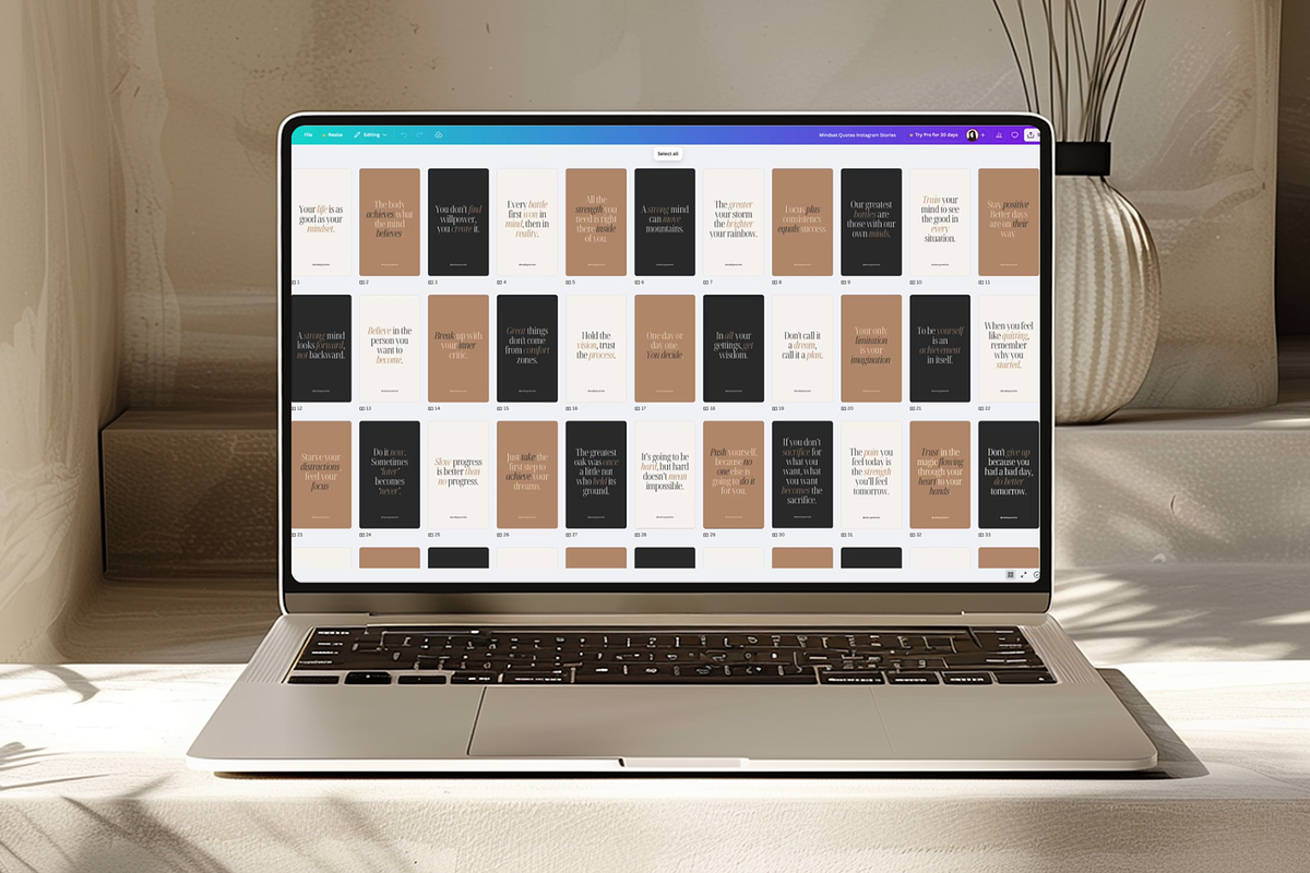 Mindset Quotes Instagram Stories preview 2