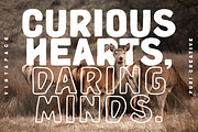 Vintaface - Vintage Style Font, a Sans Serif Font by PuriCreative (Thumbnail 9 of 10)