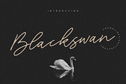 Blackswan - Monoline Signature Font, a Script Font by Letterative Studio (Thumbnail 1 of 7)