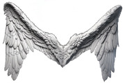 set of photorealistic angel wings, an Object Graphic by itakdalee (Thumbnail 10 of 11)