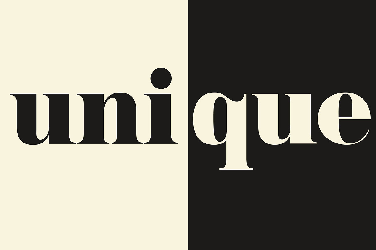 NT Josefine, a Serif Font by nevsky.type (Photo 8 of 15)