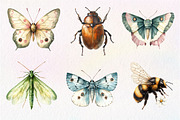 Vintage Spring Insect Clipart, an Illustration by Dream Creation (Thumbnail 6 of 7)