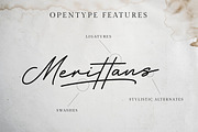 Hertine - Monoline Signature, a Script Font by Ef Studio (Thumbnail 7 of 8)
