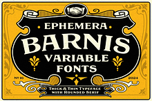 EFCO Barnis - Variable Fonts