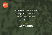 Absolute Borsalino - Serif Font, a Serif Font by Luxima (Thumbnail 12 of 15)