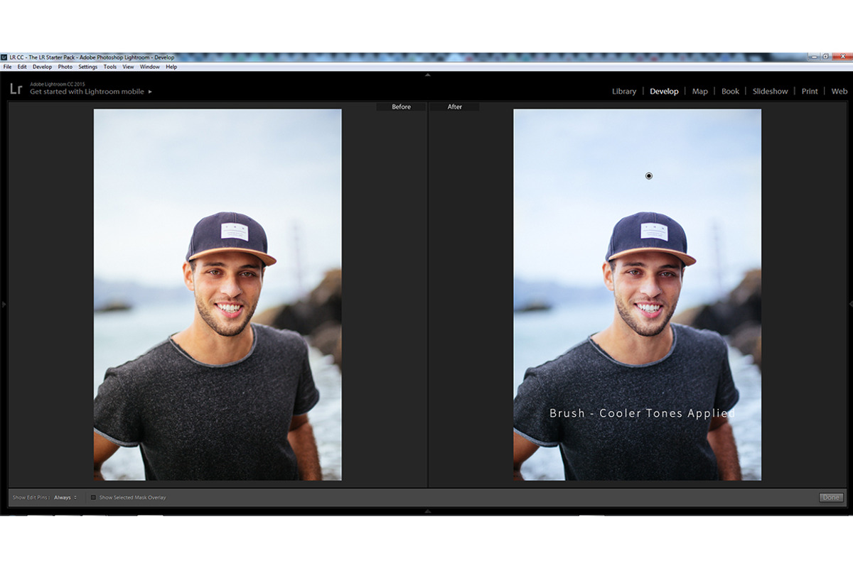 Essential Lightroom Brush Presets preview 7