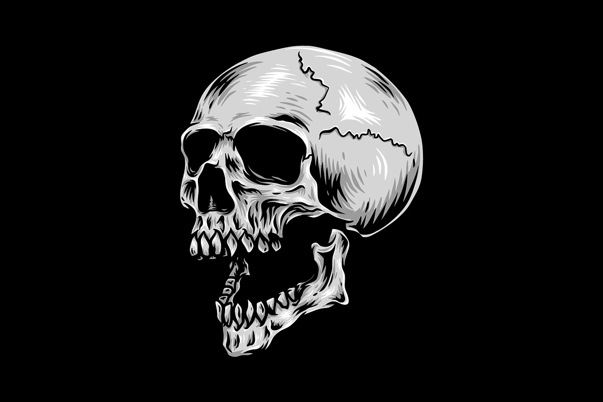 Skull Drawing Side View Illustration, an Object Illustration by zdson (Photo 1 of 3)