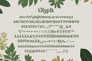 EcoSans — Minimalist Nature Font, a Sans Serif Font by Fractal fonts & graphics (Thumbnail 2 of 7)