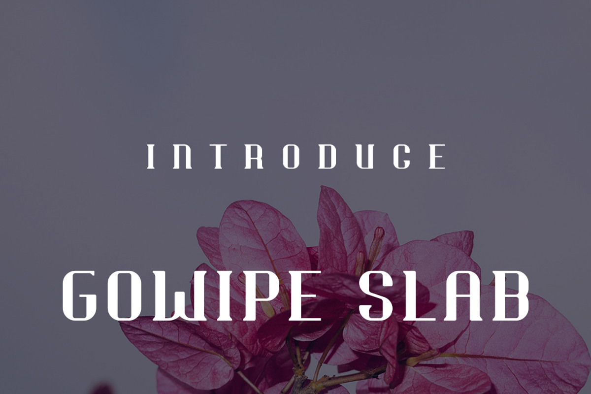 Gowipe Slab, a Sans Serif Font by lelevien (Photo 3 of 5)