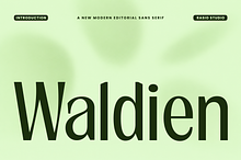 Waldien Modern Editorial Sans Font