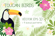 Toucan Birds + Bonus Patterns, an Animal Illustration by Imaginasty (Thumbnail 1 of 5)