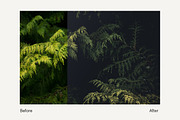 Autumn Vibes - Lightroom Presets, a Plug-in Add-On by ELITE ARTISTS (Thumbnail 4 of 14)