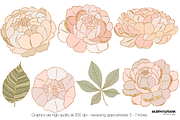 Peony Clipart Flowers Peonies, an Illustration by Murphy & Frank (Thumbnail 2 of 5)
