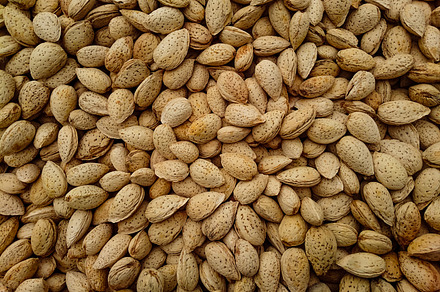 Almond with shell Pattern background, a Nature Photo by shahsoft