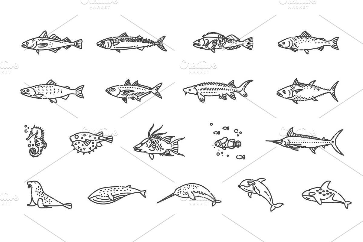 Ocean life. Underwater Fauna icons, an Outline Icon by Tettygreen (Photo 2 of 2)