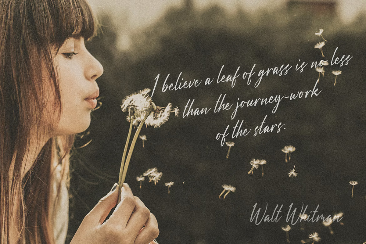 Vienetta Luxury Font Script, a Script Font by UInstrument (Photo 2 of 12)