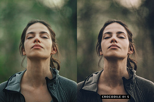 20 Moody Green LR Presets