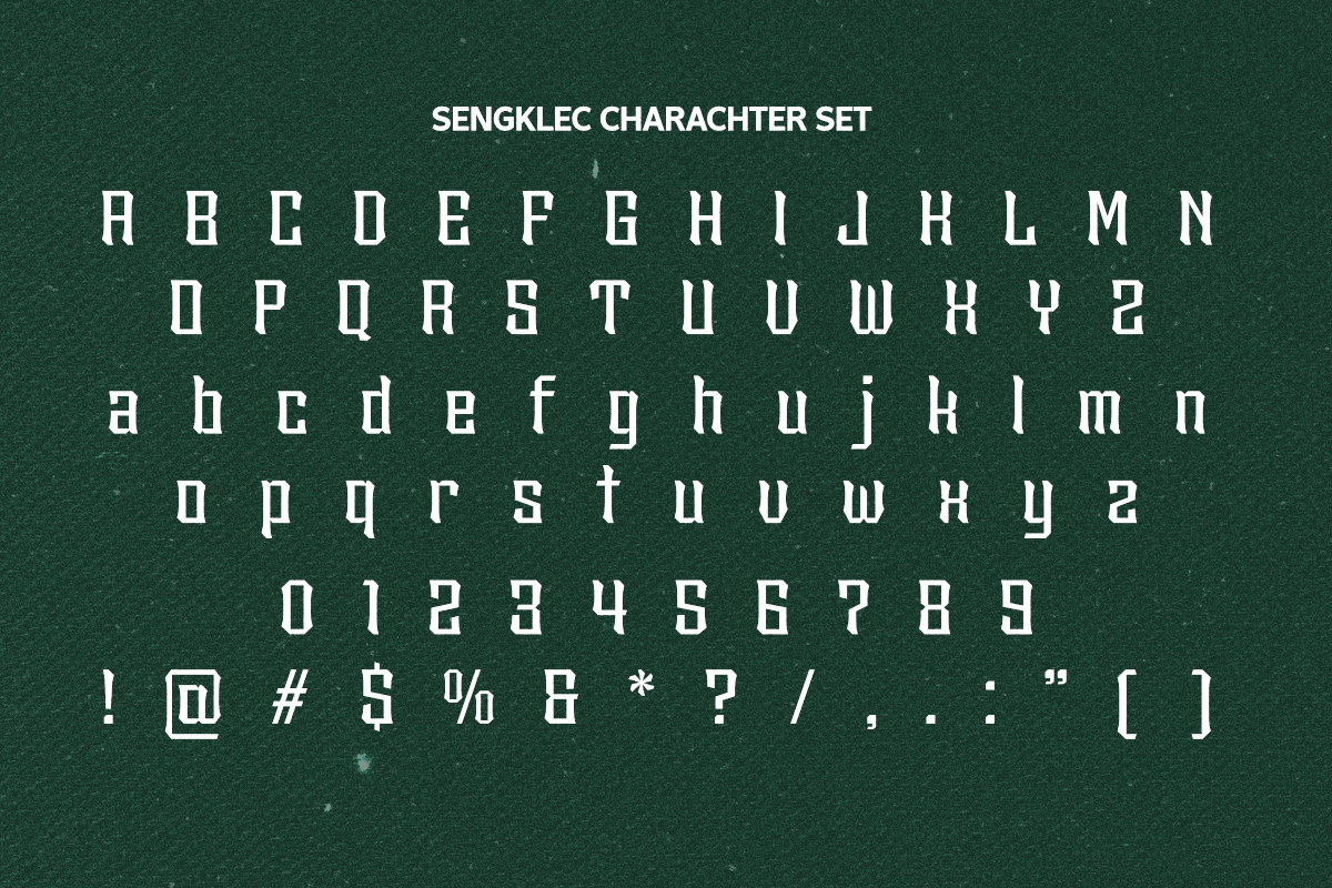 Sengklec - Display Family Font, a Serif Font by Differentialtype (Photo 9 of 12)