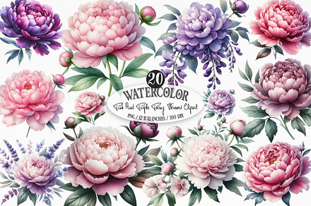 Pink & Purple Peony Flowers Clipart, an Illustration by Designking