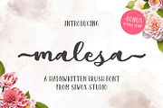 Malesa Brush font, a Handwritten Font by Siwox Studios (Thumbnail 1 of 8)